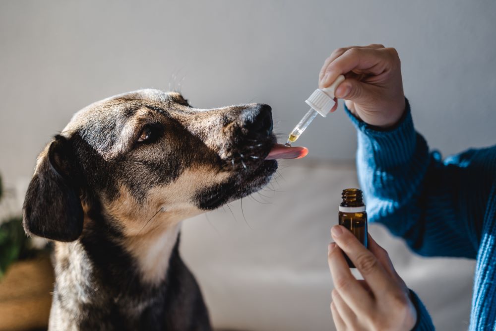 parafarmacia animali a Vallefoglia